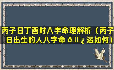 丙子日丁酉时八字命理解析（丙子日出生的人八字命 🌿 运如何）